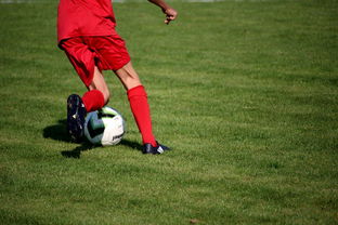 乐鱼官网介绍-NBA球队青训体系建设与人才储备，nba青年队